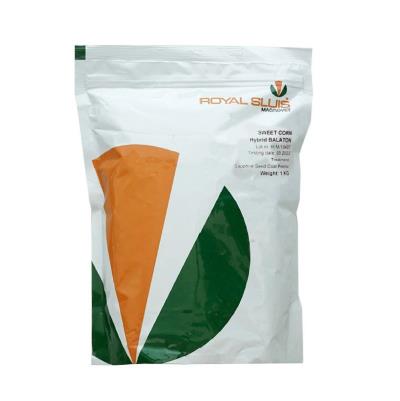 بذر ذرت انجل