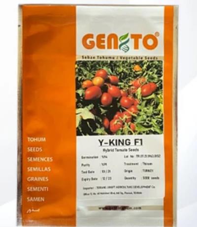بذر گوجه فرنگی وایکینگ