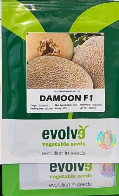 بذر ملون دامون