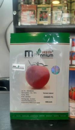 بذر گوجه کاسیو