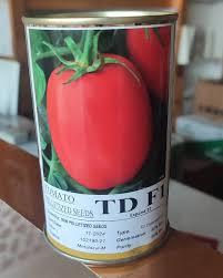 بذر گوجه فرنگی تی دی TD