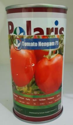 بذر گوجه هنگام پلاریس