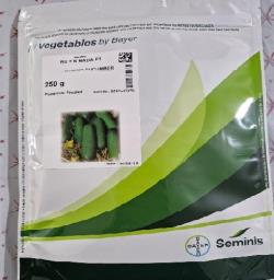 بذر خیار دو ان نادا ( 2 ان ) سمینس