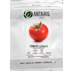 بذر گوجه فرنگی لوسیا