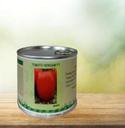 بذر گوجه فرنگی هنگام