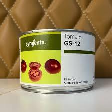 بذر گوجه فرنگی جی اس 12